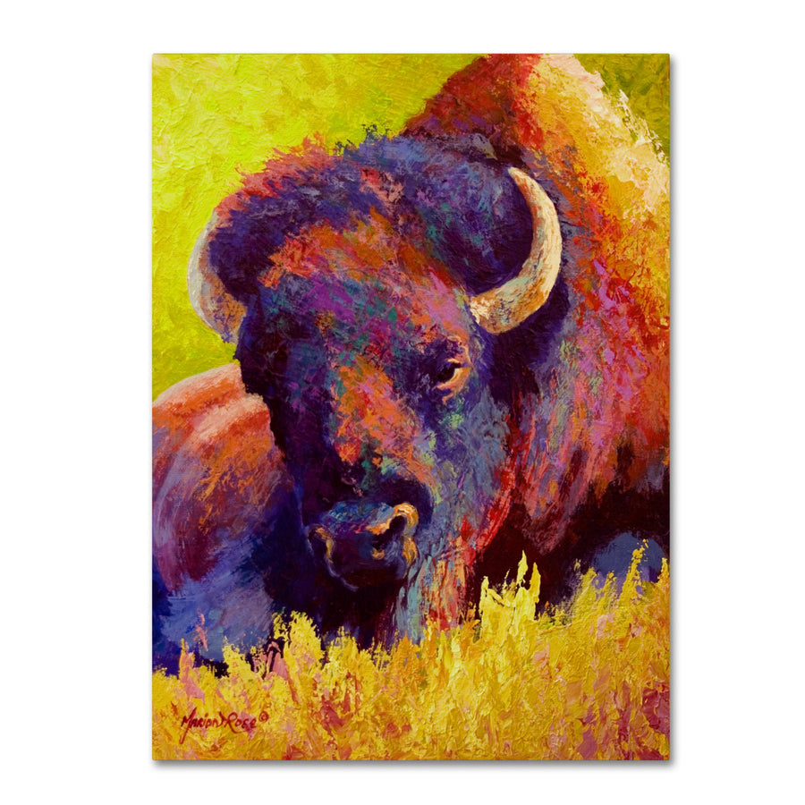 Marion Rose Timeless Spirit Bison Ready to Hang Canvas Art 14 x 19 Inches Made in USA Image 1