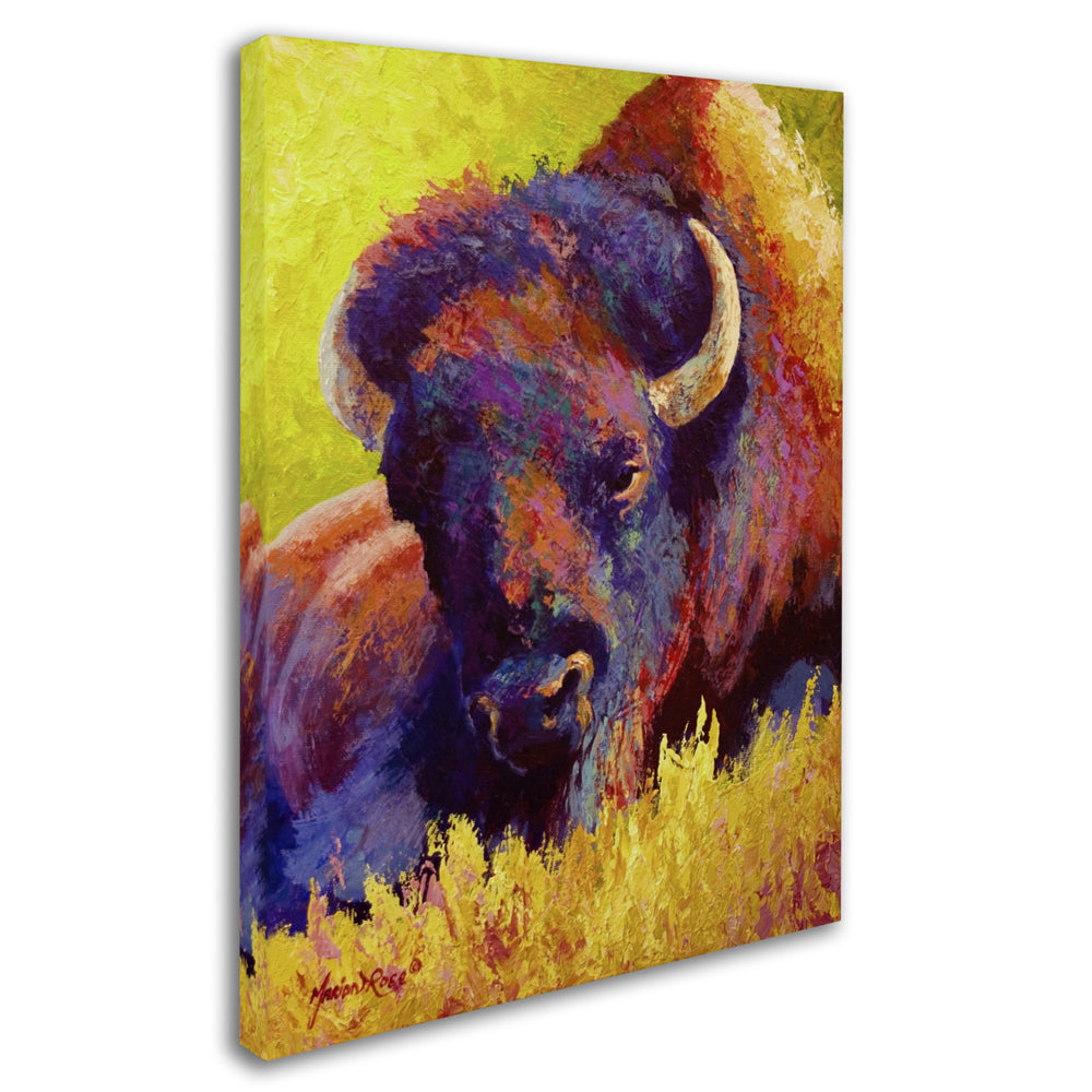 Marion Rose Timeless Spirit Bison Ready to Hang Canvas Art 14 x 19 Inches Made in USA Image 2