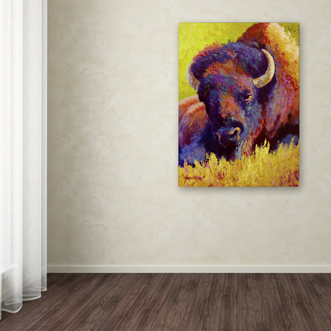 Marion Rose Timeless Spirit Bison Ready to Hang Canvas Art 14 x 19 Inches Made in USA Image 3