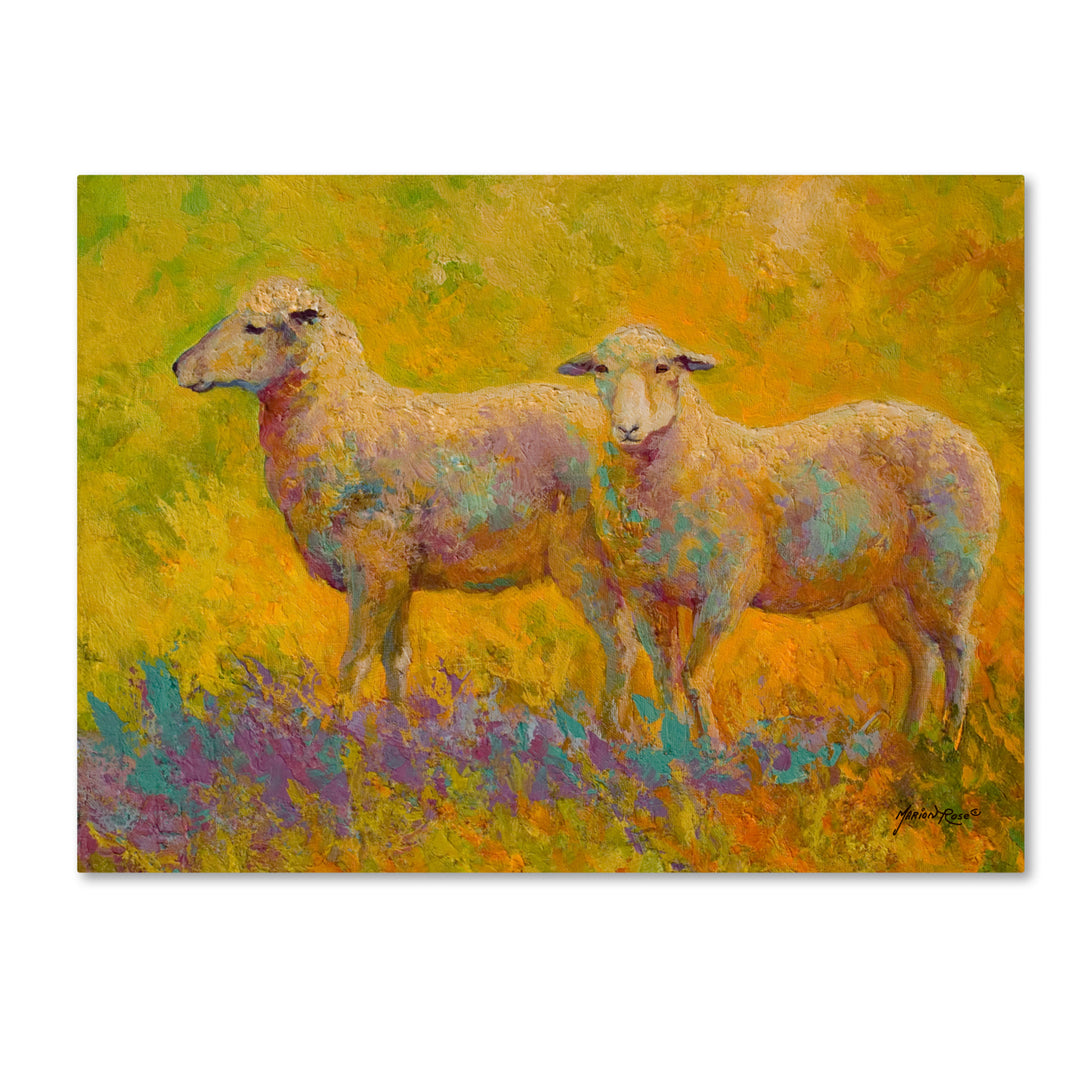 Marion Rose Warm Glow Sheep Pair Ready to Hang Canvas Art 14 x 19 Inches Made in USA Image 1