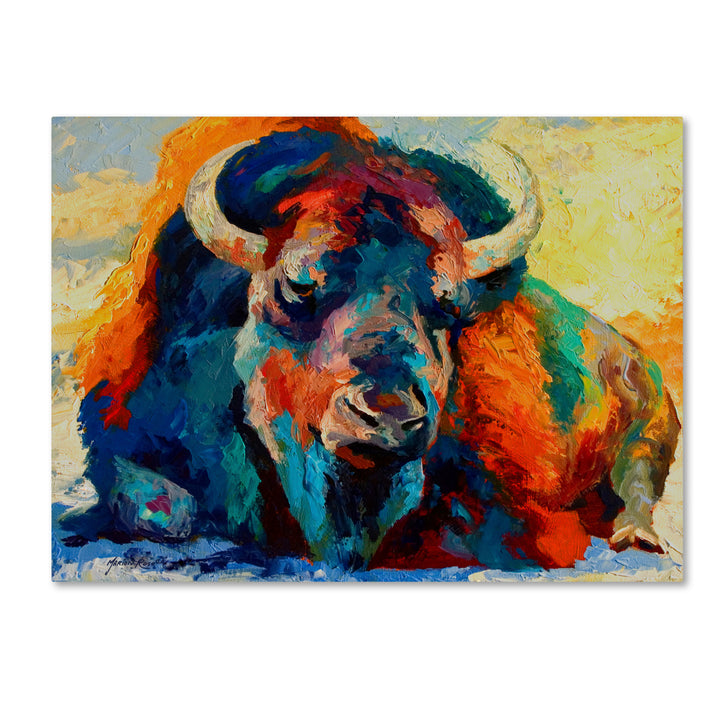 Marion Rose Winter Bison Ready to Hang Canvas Art 14 x 19 Inches Made in USA Image 1