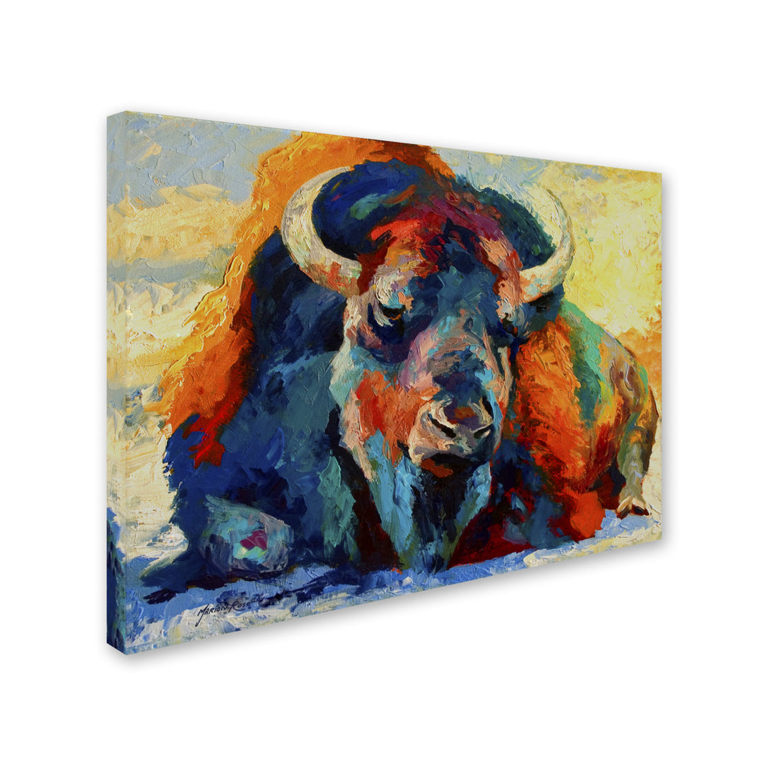 Marion Rose Winter Bison Ready to Hang Canvas Art 14 x 19 Inches Made in USA Image 2