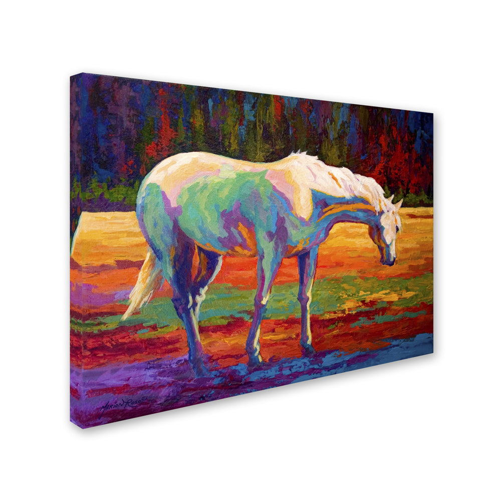 Marion Rose White MareII Ready to Hang Canvas Art 14 x 19 Inches Made in USA Image 2