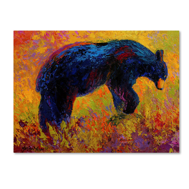 Marion Rose Young Adventurer Black Bear Ready to Hang Canvas Art 14 x 19 Inches Made in USA Image 1