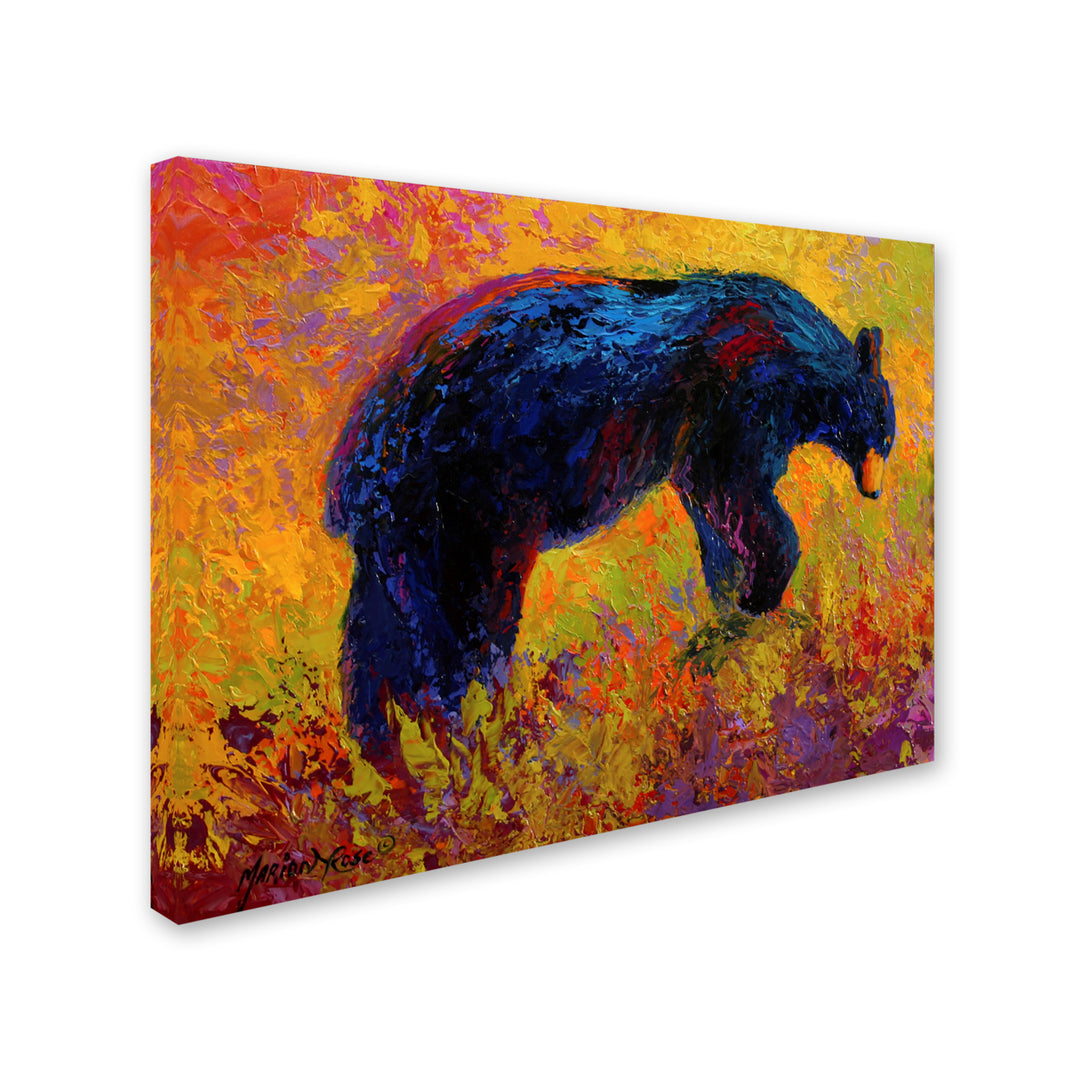 Marion Rose Young Adventurer Black Bear Ready to Hang Canvas Art 14 x 19 Inches Made in USA Image 2
