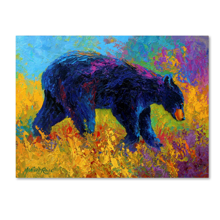 Marion Rose Young Restless II Black Bear Big Ready to Hang Canvas Art 14 x 19 Inches Made in USA Image 1