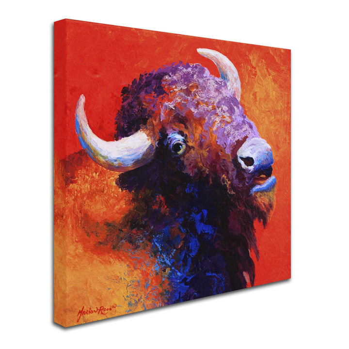 Marion Rose Bison Attitude Ready to Hang Canvas Art 18 x 18 Inches Made in USA Image 2