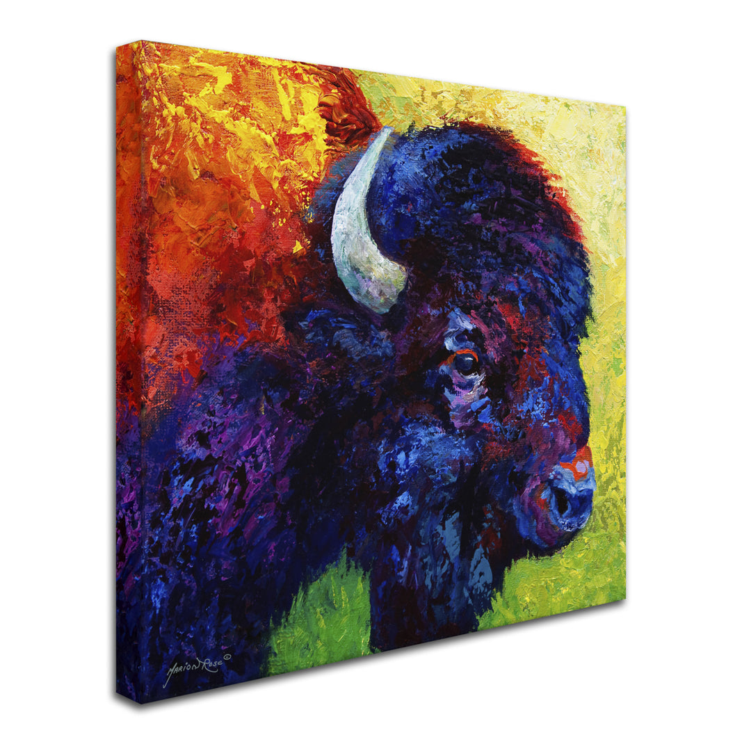 Marion Rose Bison Head III Ready to Hang Canvas Art 18 x 18 Inches Made in USA Image 2