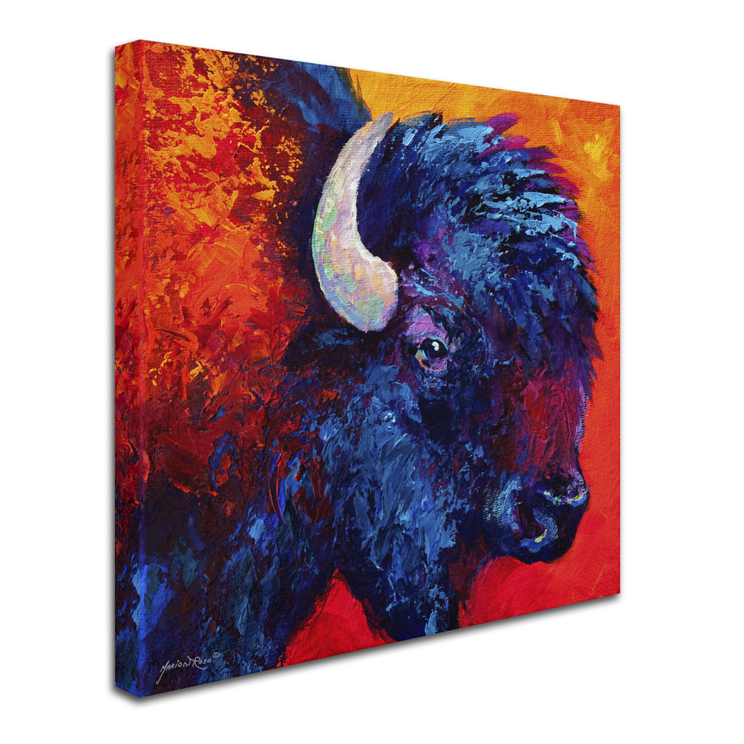 Marion Rose Bison Head II Ready to Hang Canvas Art 18 x 18 Inches Made in USA Image 2