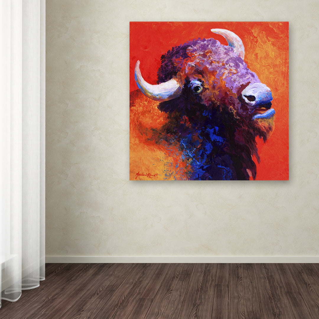 Marion Rose Bison Attitude Ready to Hang Canvas Art 18 x 18 Inches Made in USA Image 3