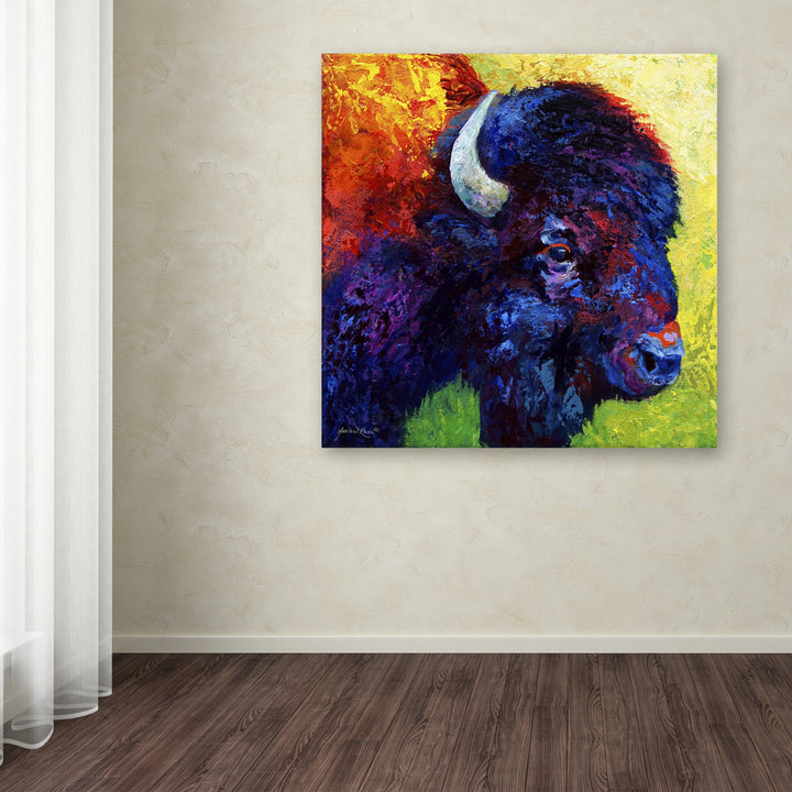 Marion Rose Bison Head III Ready to Hang Canvas Art 18 x 18 Inches Made in USA Image 3