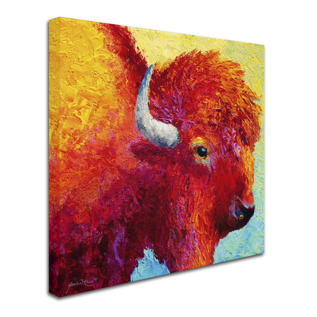 Marion Rose Bison Head IV Ready to Hang Canvas Art 18 x 18 Inches Made in USA Image 2