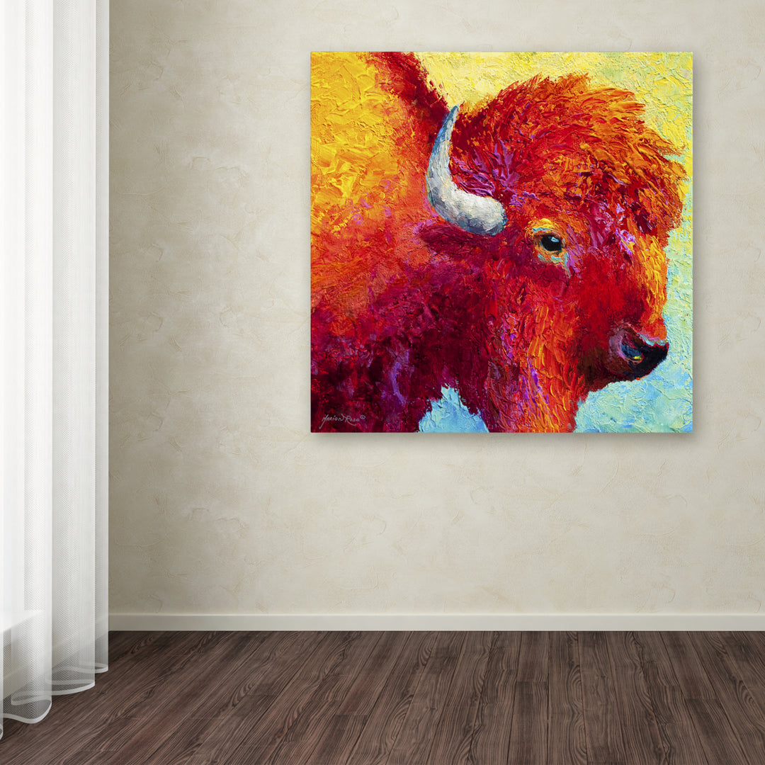 Marion Rose Bison Head IV Ready to Hang Canvas Art 18 x 18 Inches Made in USA Image 3