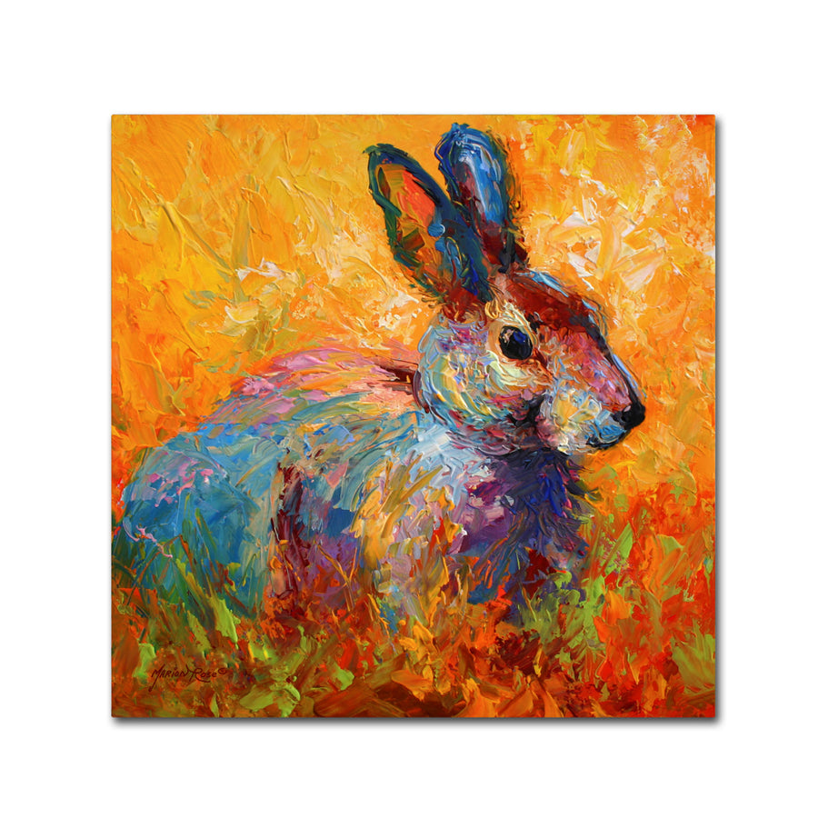 Marion Rose Bunny IV Ready to Hang Canvas Art 18 x 18 Inches Made in USA Image 1