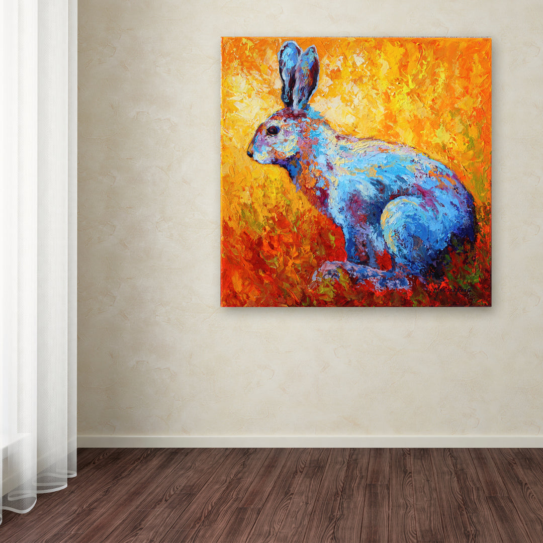 Marion Rose Bunnie (krabbit) Ready to Hang Canvas Art 18 x 18 Inches Made in USA Image 3