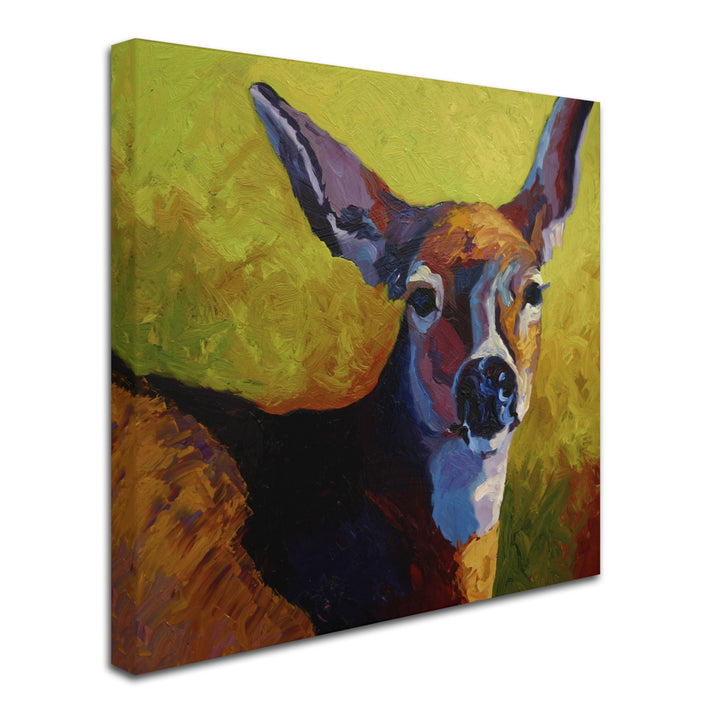 Marion Rose Doe Look Ready to Hang Canvas Art 18 x 18 Inches Made in USA Image 2