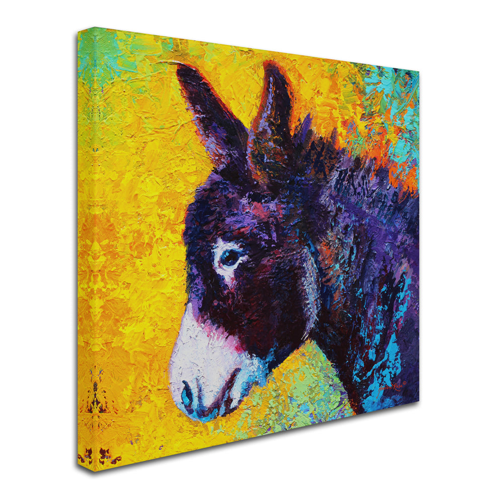 Marion Rose Donkey Sparky Ready to Hang Canvas Art 18 x 18 Inches Made in USA Image 2