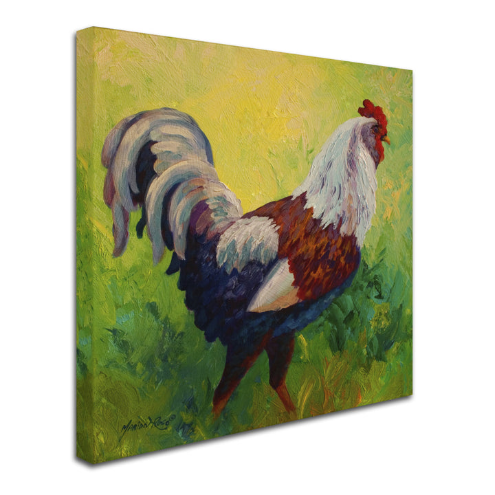 Marion Rose Full Of Himself Rooster Ready to Hang Canvas Art 18 x 18 Inches Made in USA Image 2