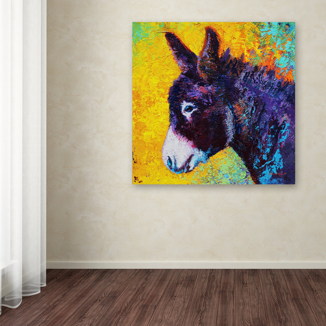Marion Rose Donkey Sparky Ready to Hang Canvas Art 18 x 18 Inches Made in USA Image 3