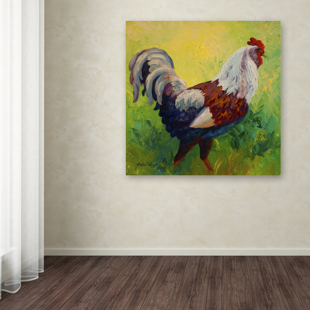 Marion Rose Full Of Himself Rooster Ready to Hang Canvas Art 18 x 18 Inches Made in USA Image 3
