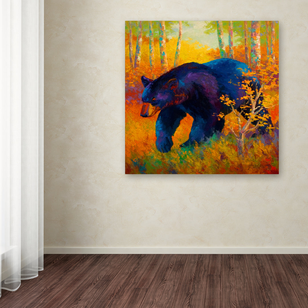 Marion Rose In To Spring Black Bear Ready to Hang Canvas Art 18 x 18 Inches Made in USA Image 3