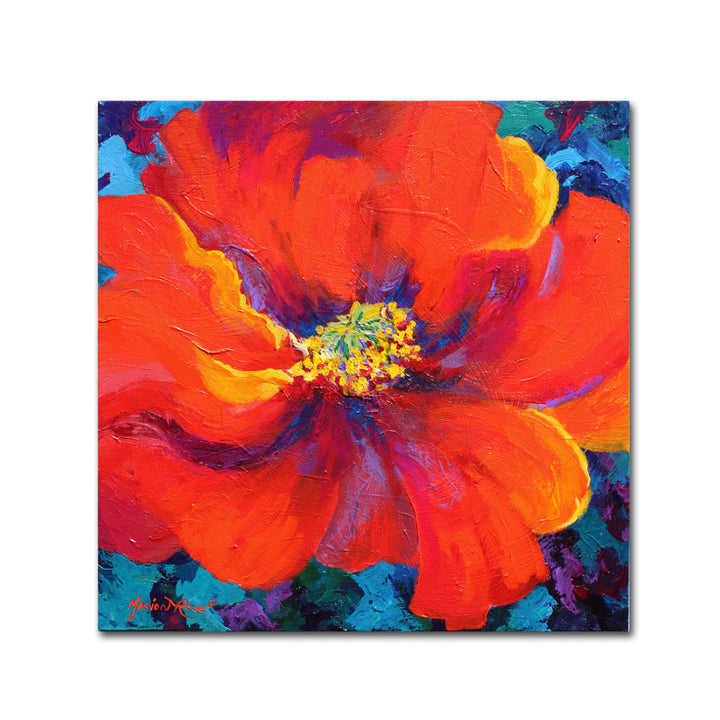 Marion Rose Passion Poppy Ready to Hang Canvas Art 18 x 18 Inches Made in USA Image 1