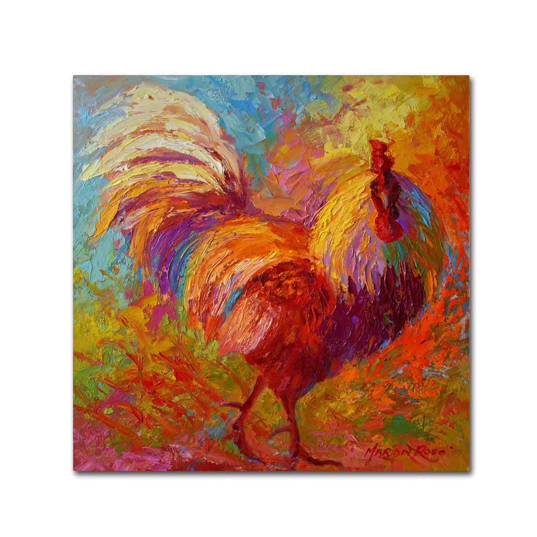 Marion Rose Rooster 6 Ready to Hang Canvas Art 18 x 18 Inches Made in USA Image 1