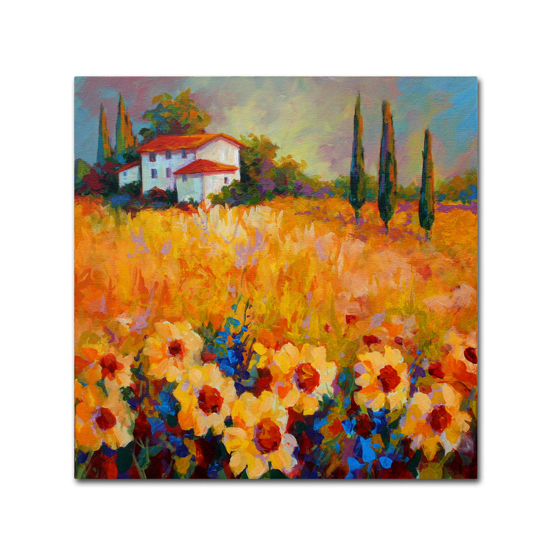 Marion Rose Tuscan Sunflowers Ready to Hang Canvas Art 18 x 18 Inches Made in USA Image 1