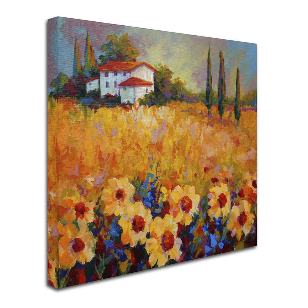 Marion Rose Tuscan Sunflowers Ready to Hang Canvas Art 18 x 18 Inches Made in USA Image 2