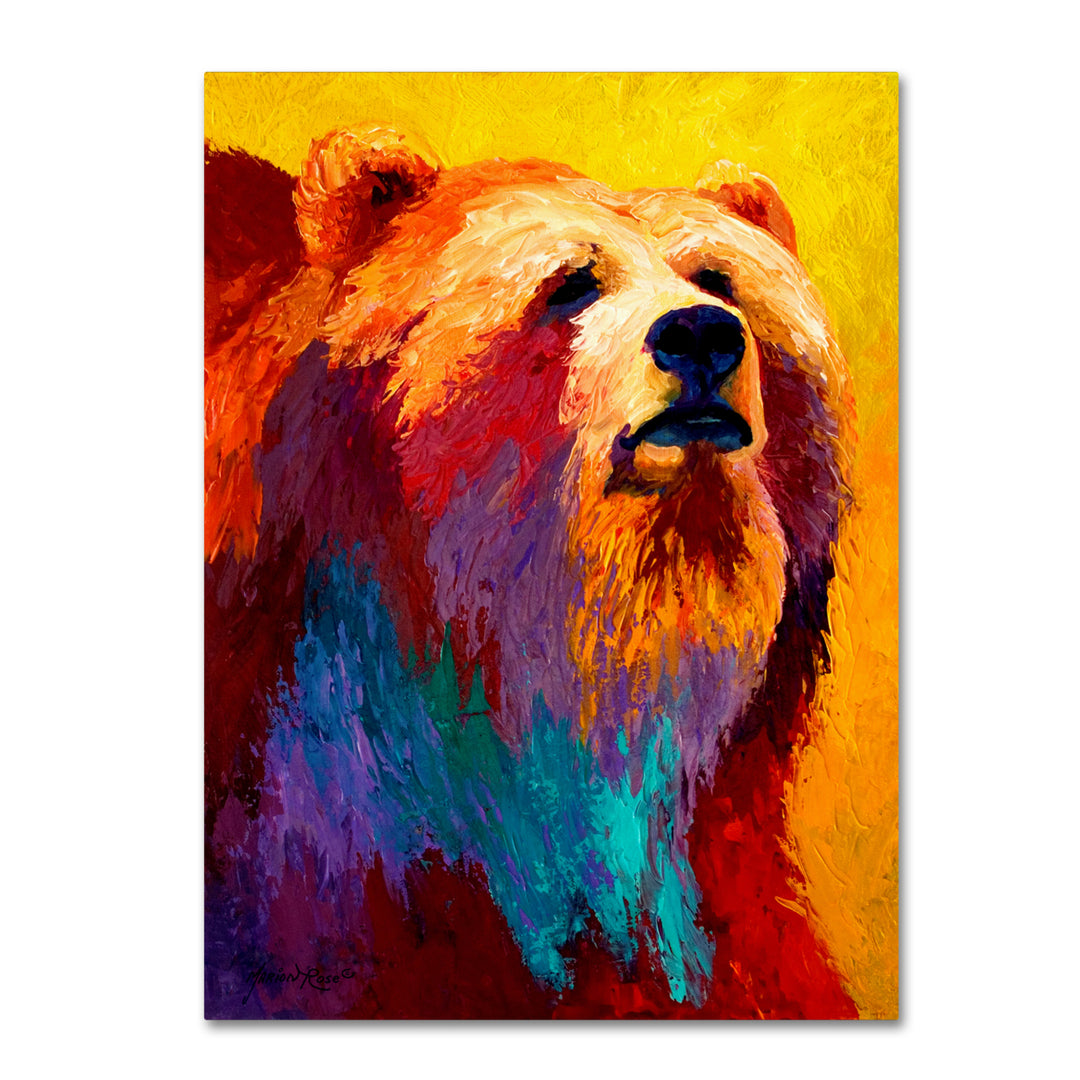 Marion Rose Ab Grizz III Ready to Hang Canvas Art 18 x 24 Inches Made in USA Image 1