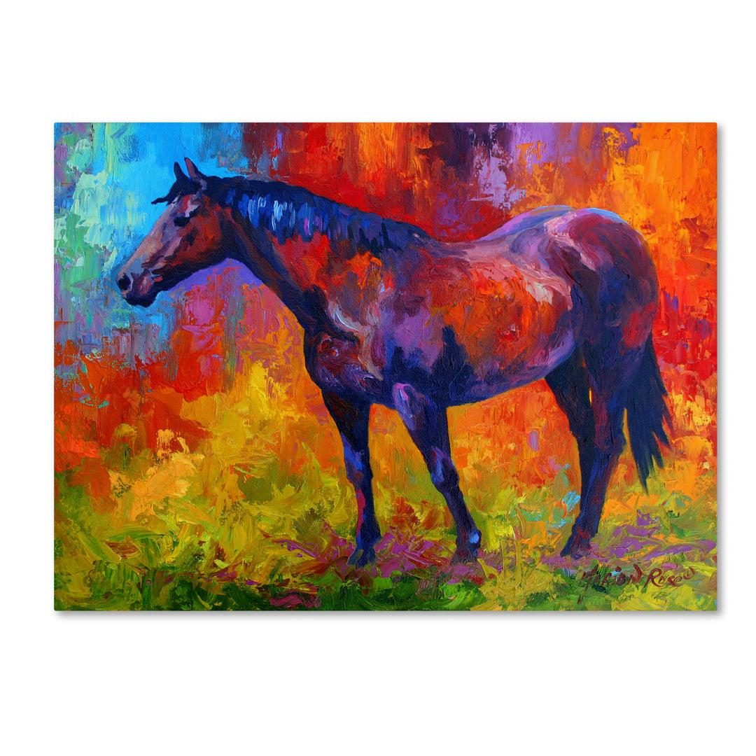 Marion Rose Bay Mare I Ready to Hang Canvas Art 18 x 24 Inches Made in USA Image 1