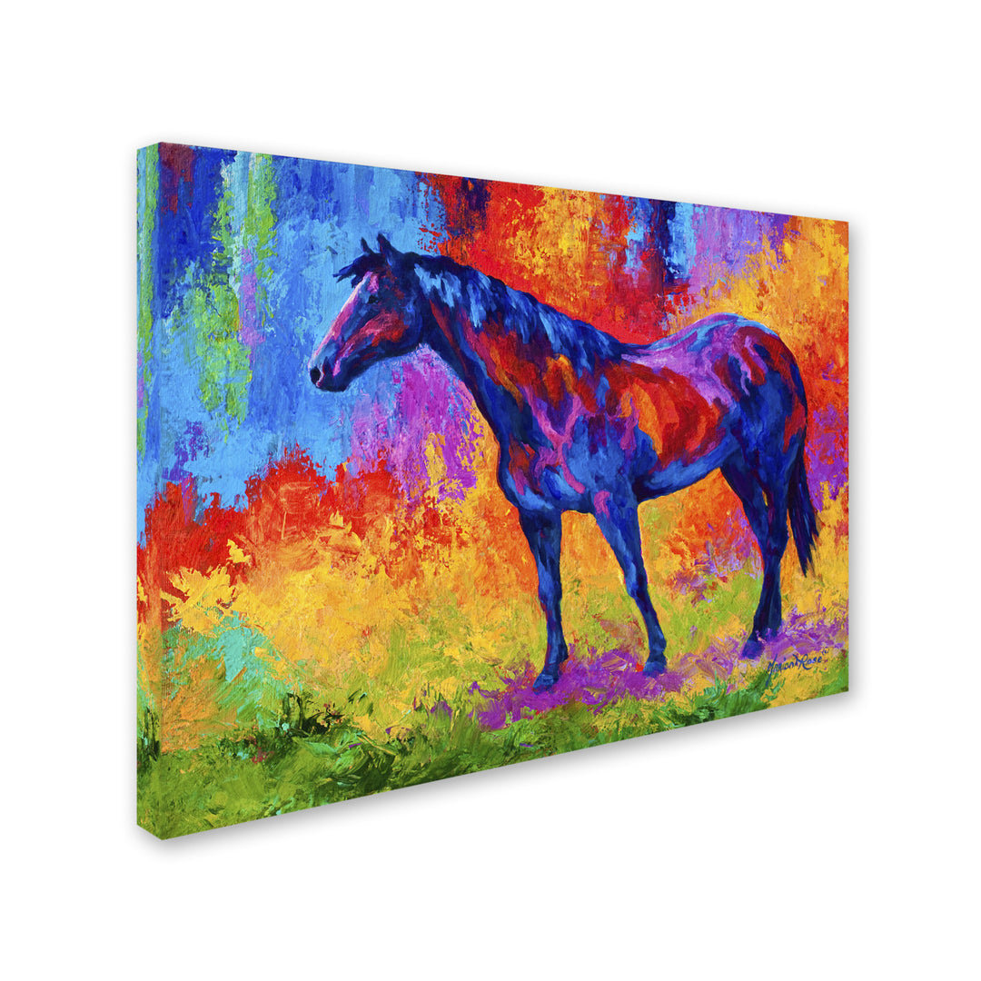 Marion Rose Bay Mare III Ready to Hang Canvas Art 18 x 24 Inches Made in USA Image 2