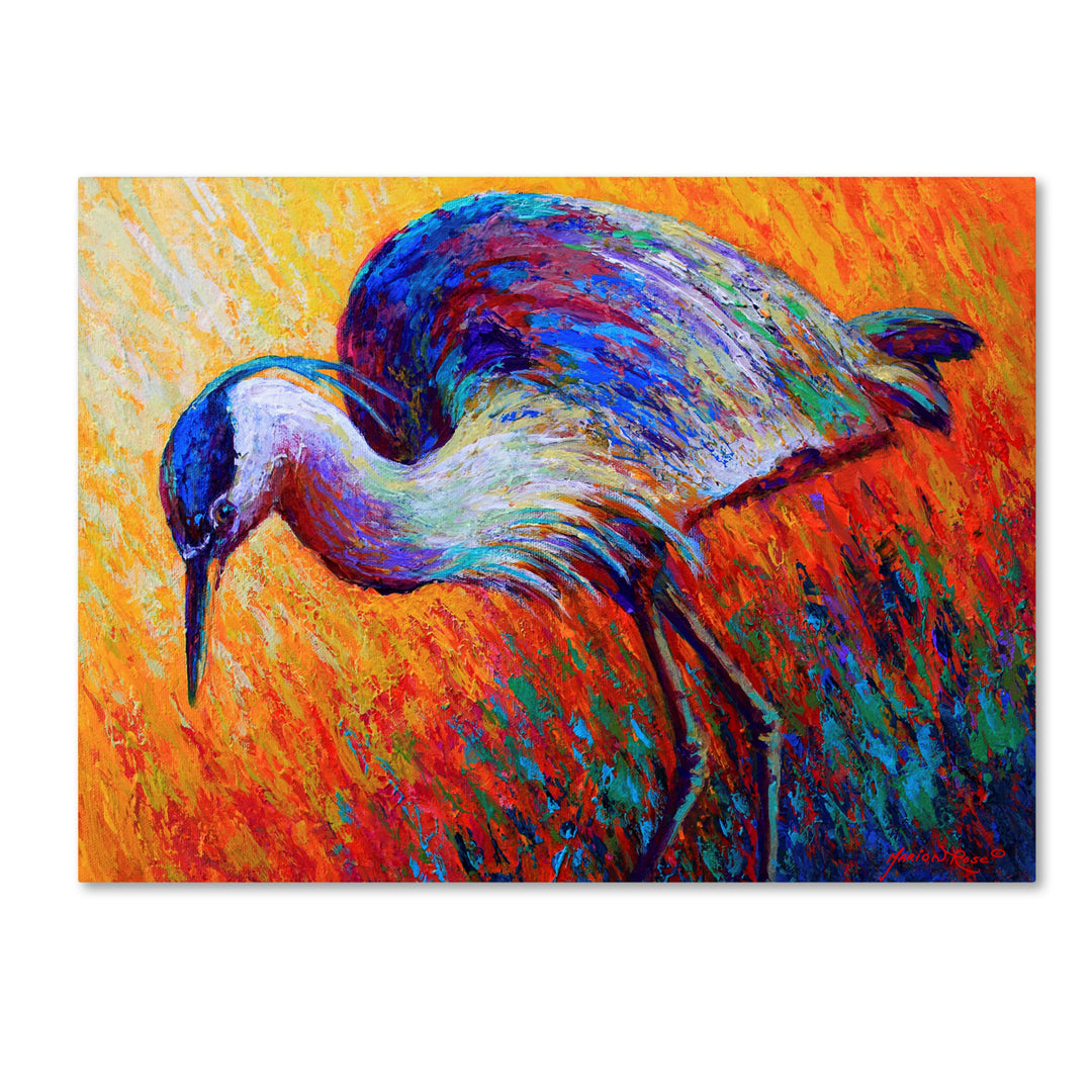 Marion Rose Bird Of Dreams Ready to Hang Canvas Art 18 x 24 Inches Made in USA Image 1