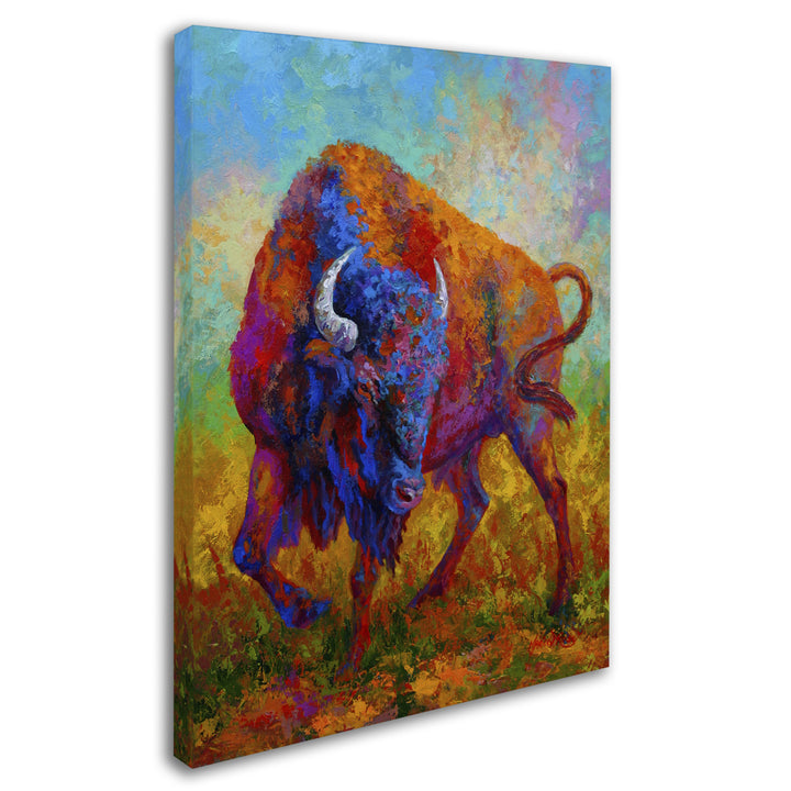 Marion Rose Bison Bull 1 Ready to Hang Canvas Art 18 x 24 Inches Made in USA Image 2