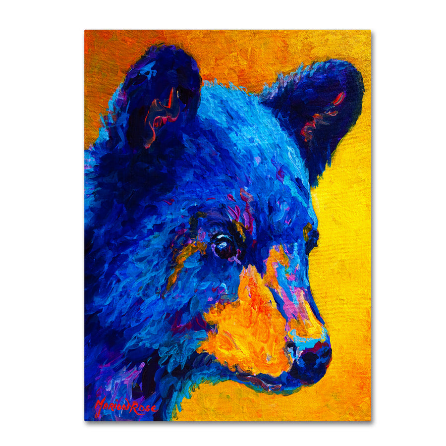 Marion Rose Black Bear Cub 2 Ready to Hang Canvas Art 18 x 24 Inches Made in USA Image 1