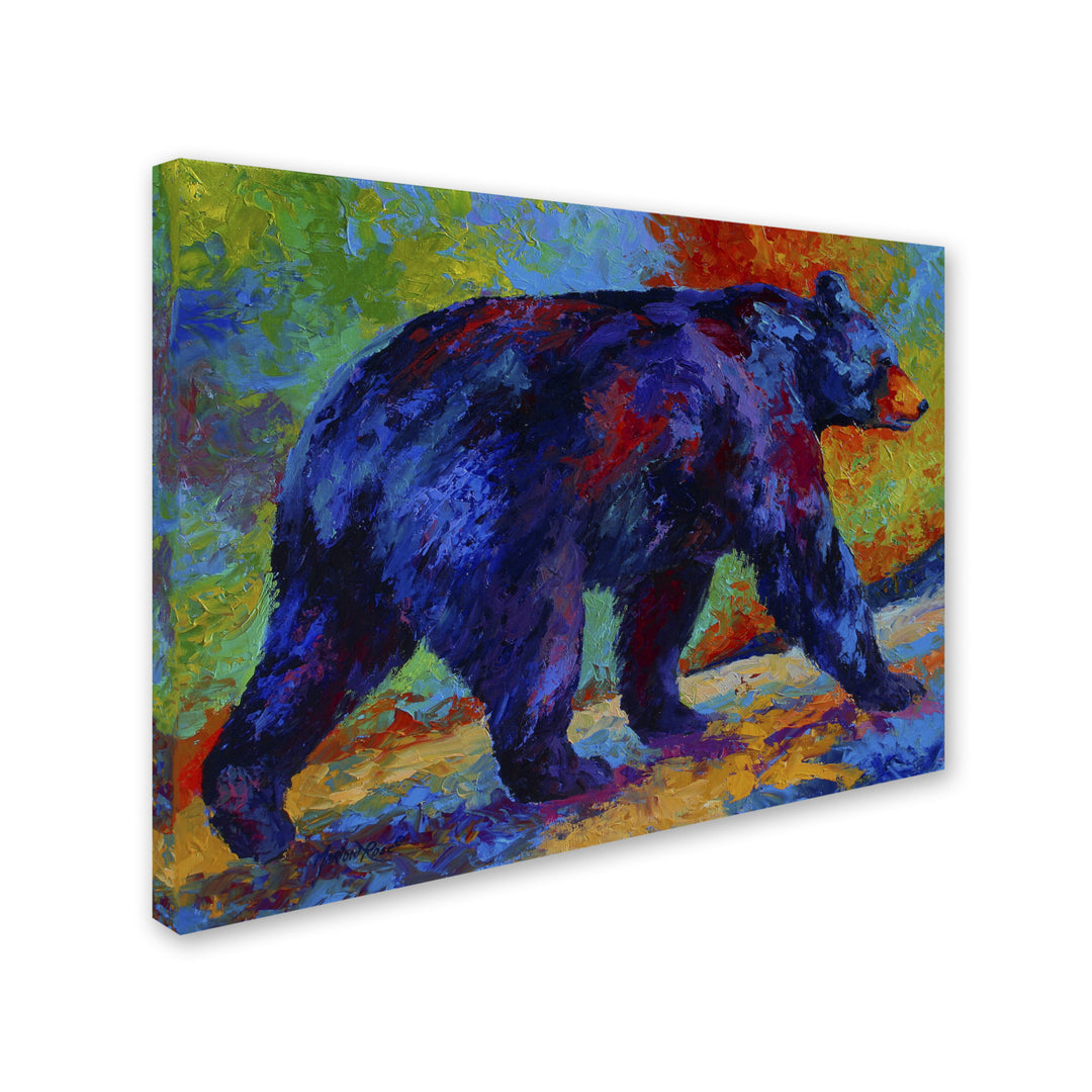 Marion Rose Black Bear 3 Ready to Hang Canvas Art 18 x 24 Inches Made in USA Image 2