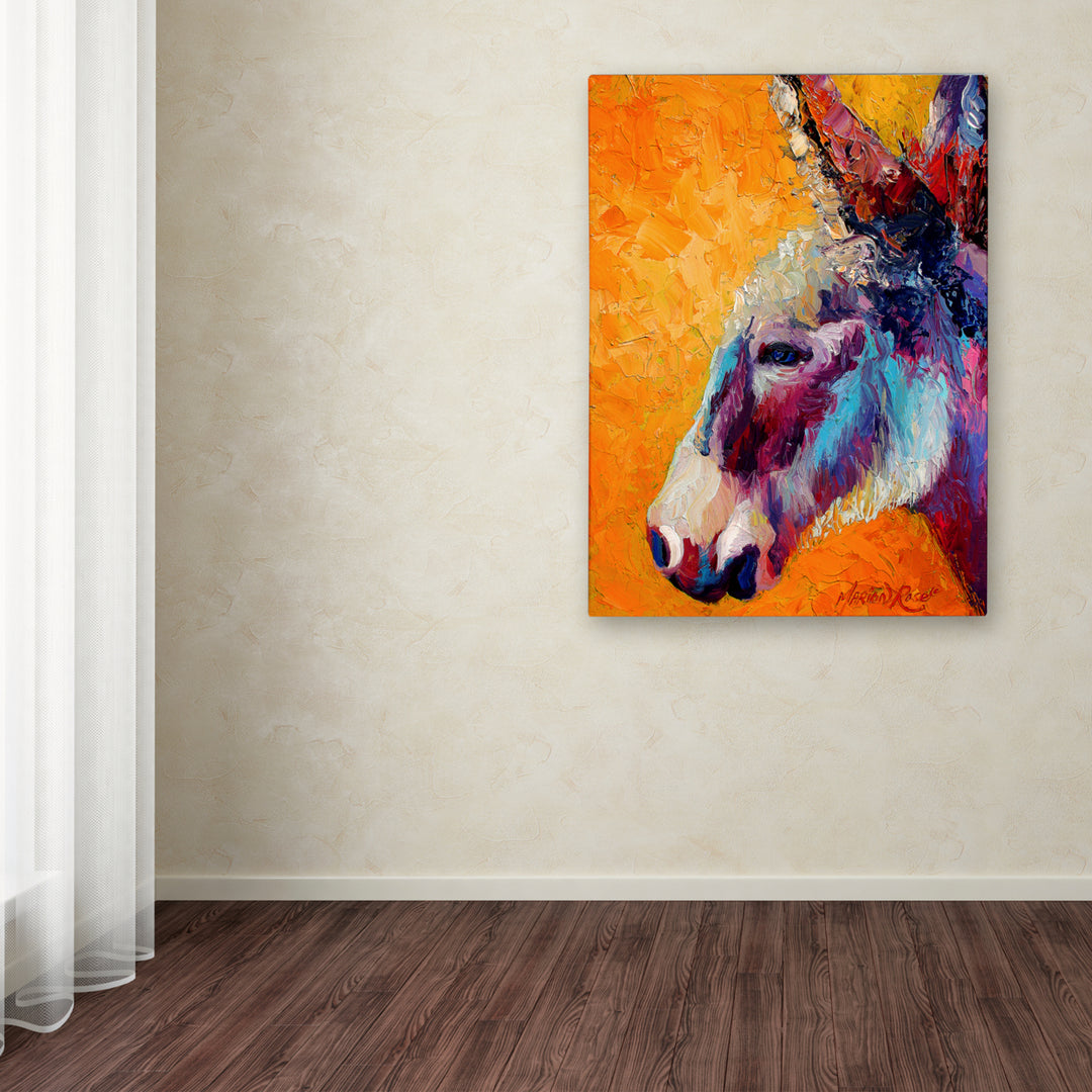 Marion Rose Burro II 1 Ready to Hang Canvas Art 18 x 24 Inches Made in USA Image 3