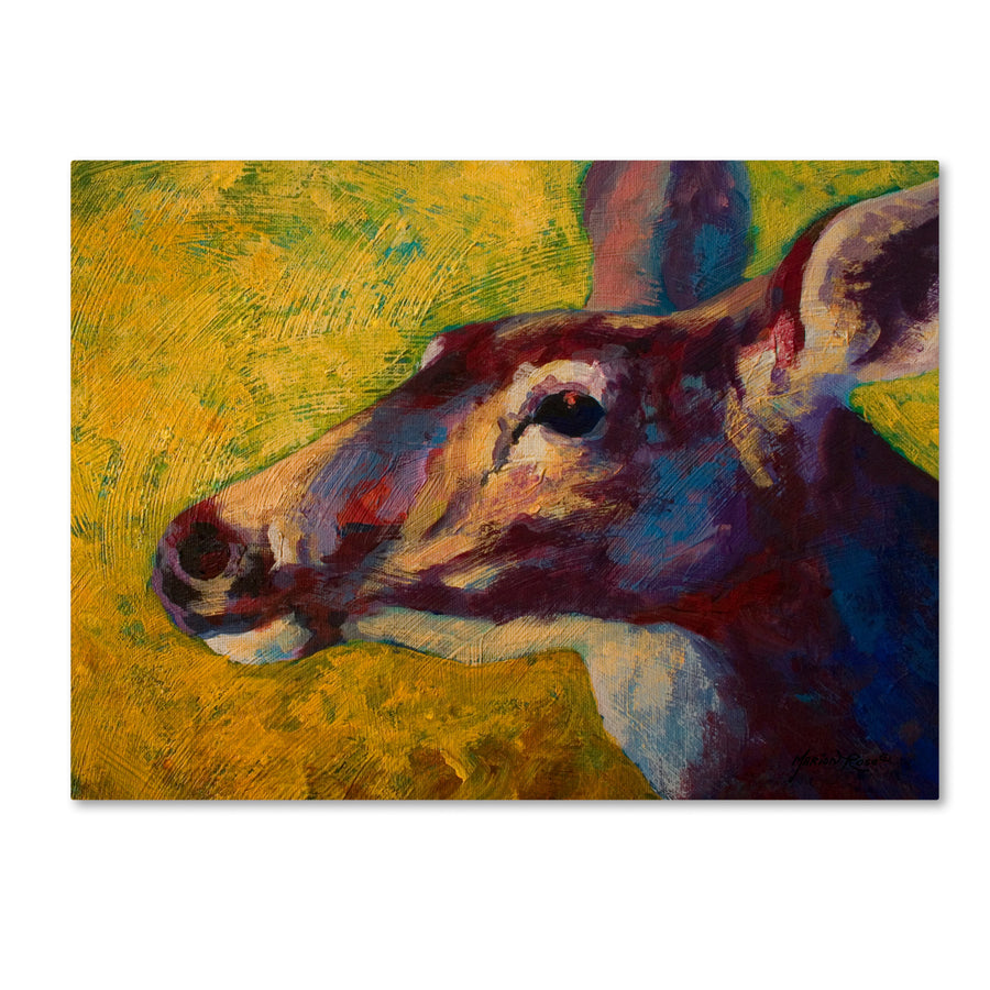 Marion Rose Doe Darling Ready to Hang Canvas Art 18 x 24 Inches Made in USA Image 1