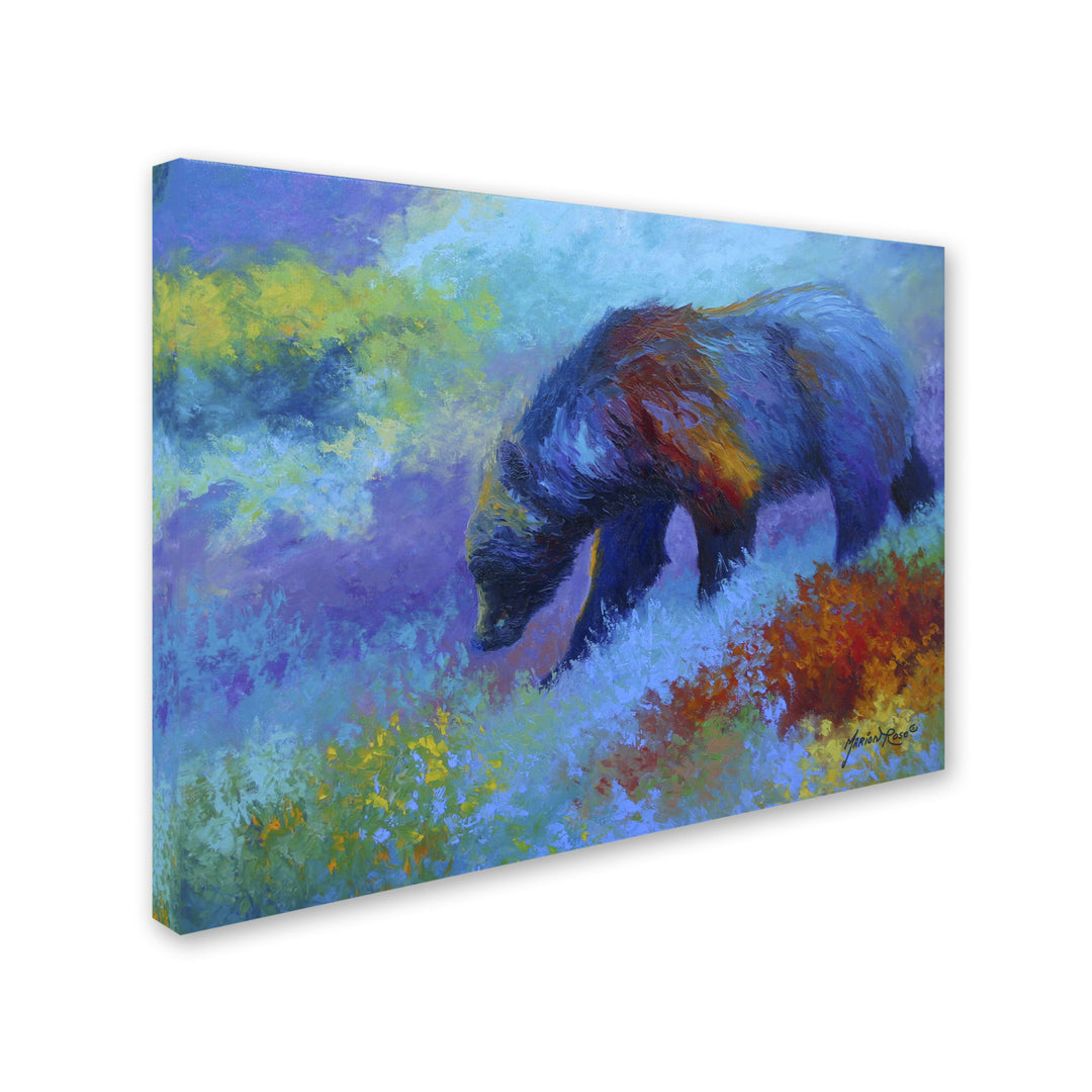 Marion Rose Denali Grizzly Ready to Hang Canvas Art 18 x 24 Inches Made in USA Image 2