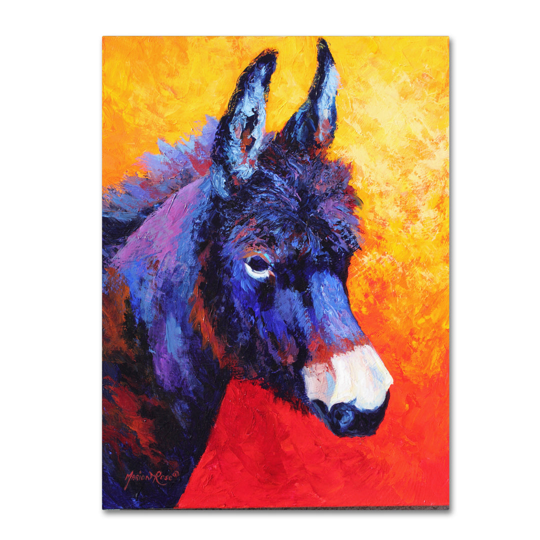 Marion Rose Donkey IVX Ready to Hang Canvas Art 18 x 24 Inches Made in USA Image 1