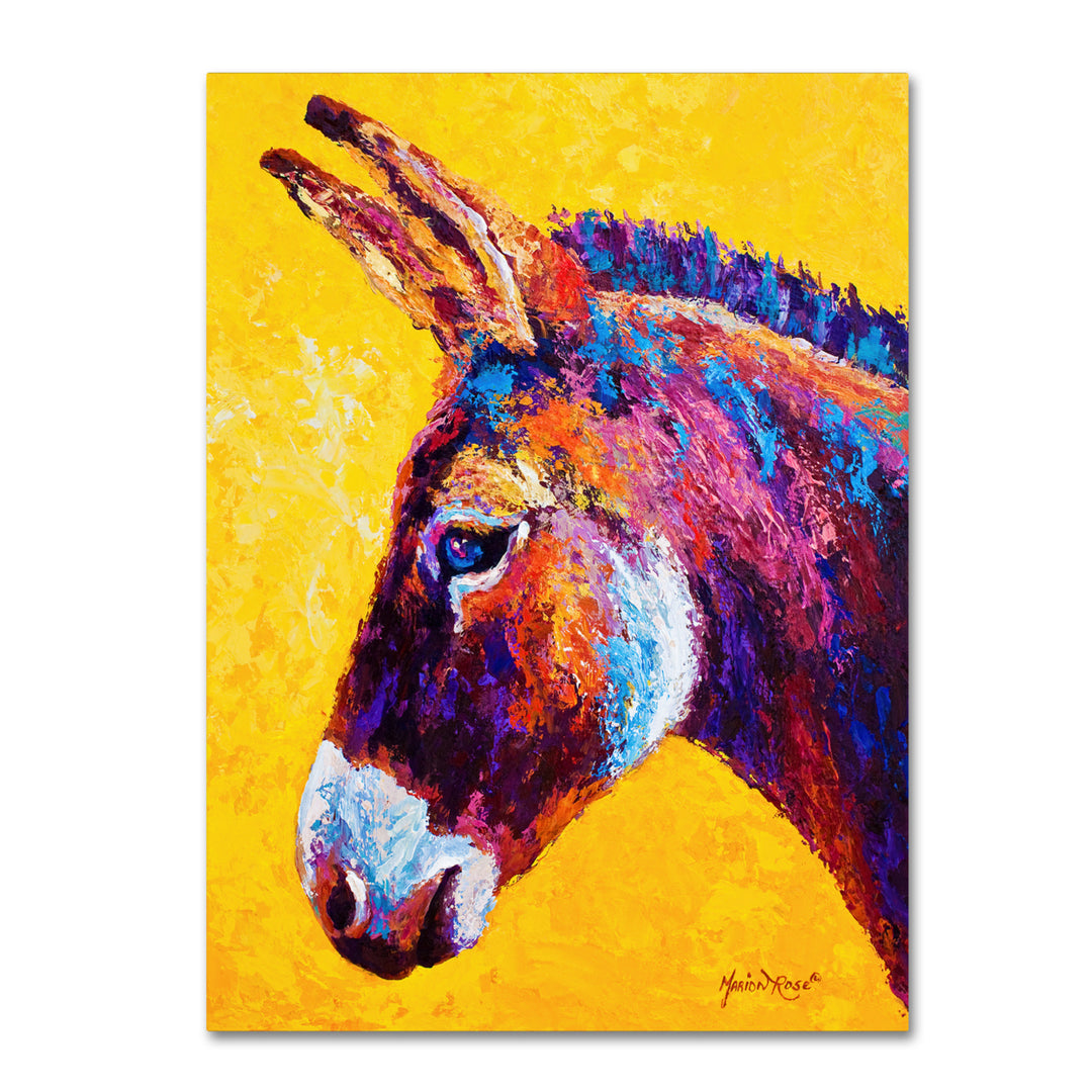 Marion Rose Donkey Portrait III Ready to Hang Canvas Art 18 x 24 Inches Made in USA Image 1