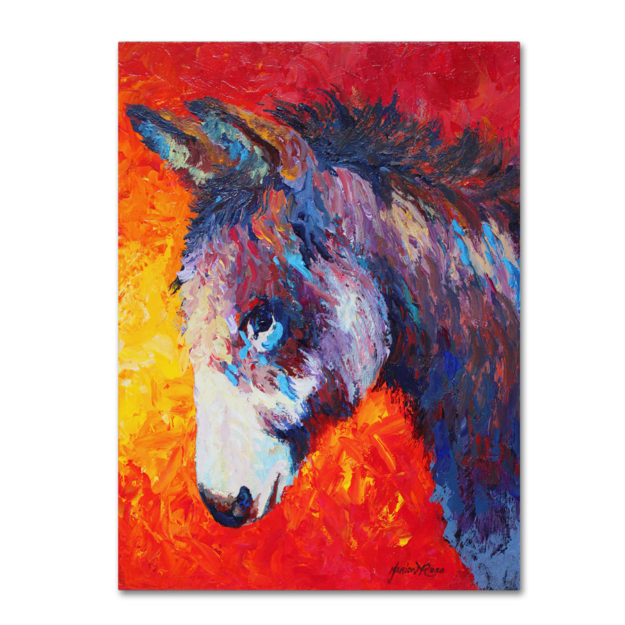 Marion Rose Donkey V Ready to Hang Canvas Art 18 x 24 Inches Made in USA Image 1