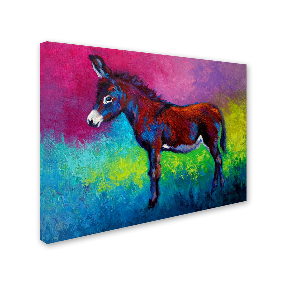 Marion Rose Donkey Jenny Ready to Hang Canvas Art 18 x 24 Inches Made in USA Image 2