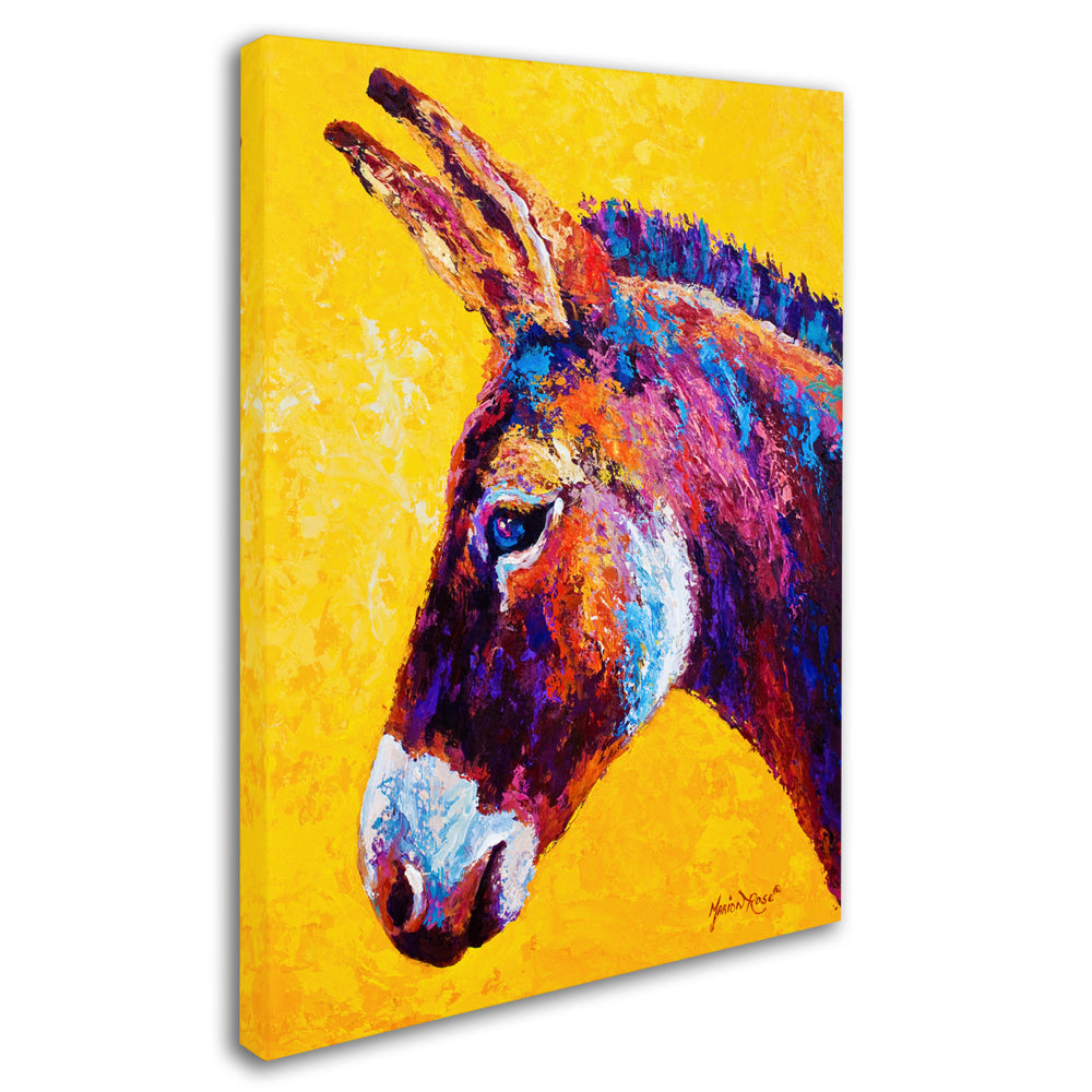 Marion Rose Donkey Portrait III Ready to Hang Canvas Art 18 x 24 Inches Made in USA Image 2