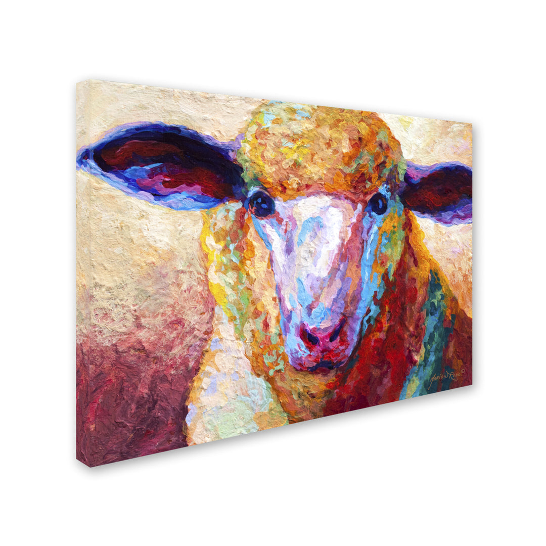 Marion Rose Dorset Ewe Ready to Hang Canvas Art 18 x 24 Inches Made in USA Image 2
