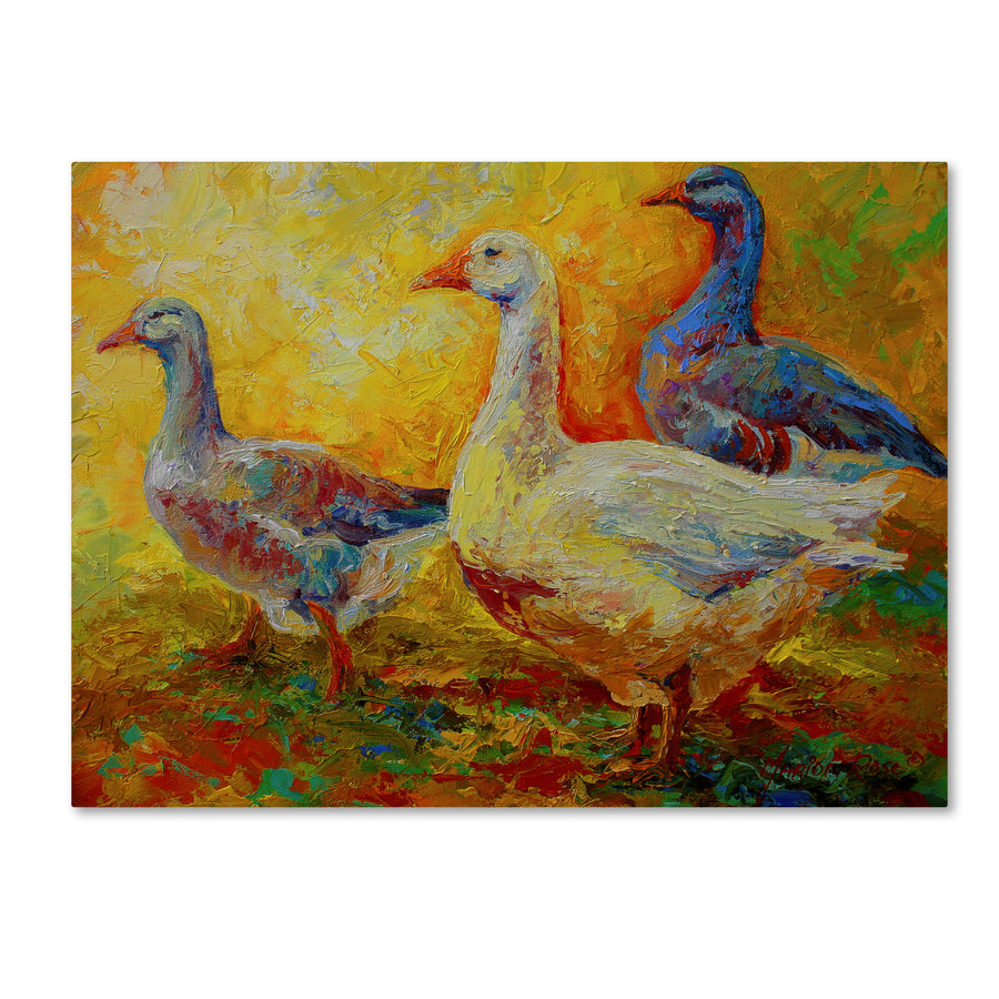 Marion Rose Gaggle Of 1 Ready to Hang Canvas Art 18 x 24 Inches Made in USA Image 1