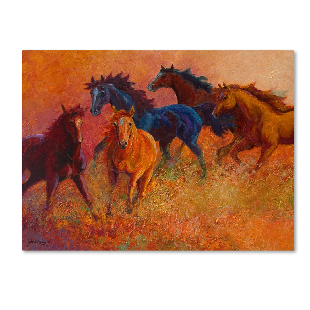 Marion Rose Free Range Horses Ready to Hang Canvas Art 18 x 24 Inches Made in USA Image 1