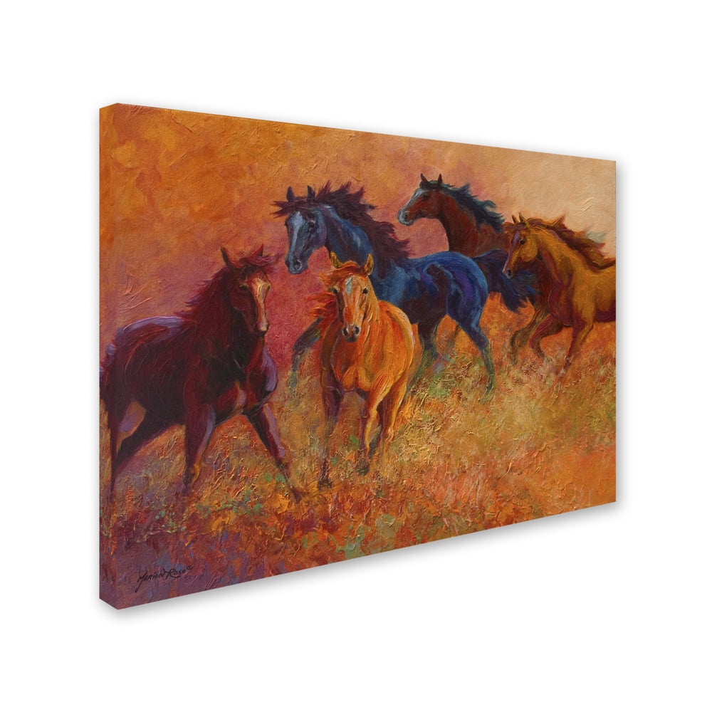 Marion Rose Free Range Horses Ready to Hang Canvas Art 18 x 24 Inches Made in USA Image 2