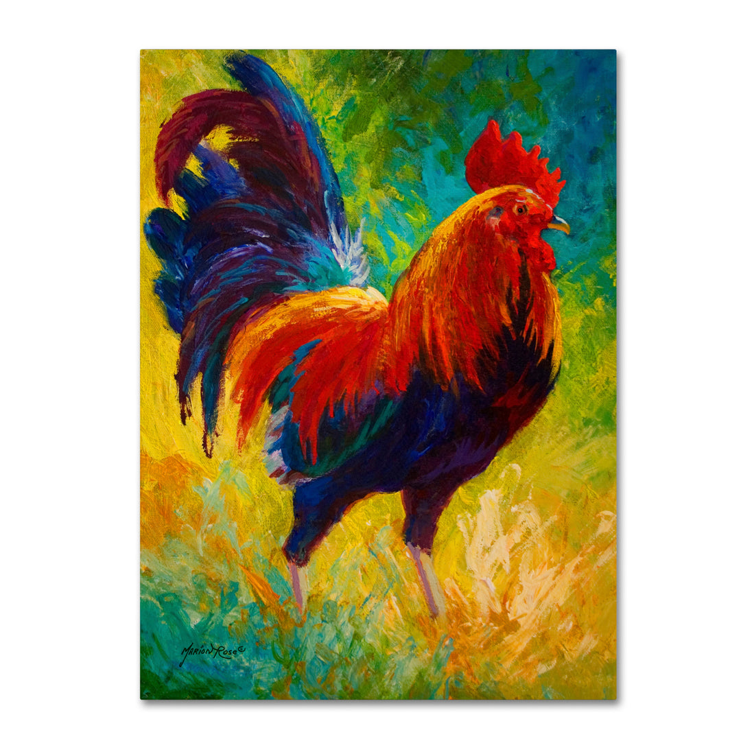 Marion Rose Hot Shot Rooster Ready to Hang Canvas Art 18 x 24 Inches Made in USA Image 1