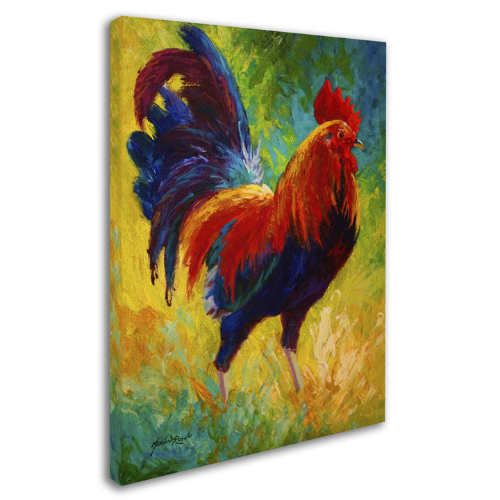 Marion Rose Hot Shot Rooster Ready to Hang Canvas Art 18 x 24 Inches Made in USA Image 2